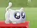 Gra Extreme Kitten w Internecie