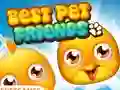 Gra Best Pet Friends w Internecie