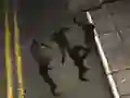 Gra Zombie Reborn w Internecie