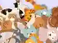 Gra Find The Kitty w Internecie