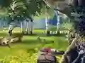 Gra Scout Camp w Internecie