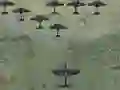Gra Wings Of Glory w Internecie