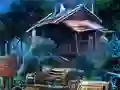 Gra Disoriented w Internecie