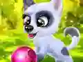 Gra Happy Dog w Internecie