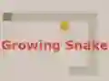 Gra Growing Snake w Internecie
