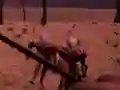 Gra Last Defense w Internecie