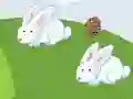 Gra Crazy Eggs w Internecie