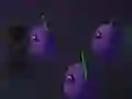 Gra Night Night w Internecie