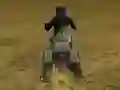 Gra Real Moto Stunts Challenge w Internecie