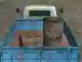 Gra Cargo Drive w Internecie
