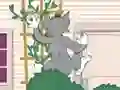 Gra Tom und Jerry: Wasserbomben Wahnsinn w Internecie