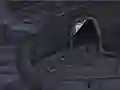 Gra The Outsider w Internecie