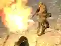 Gra Warzone w Internecie