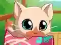 Gra My Pocket Pets Kitty Cat w Internecie