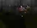 Gra Zombie Survival w Internecie