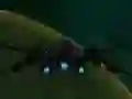 Gra Spaceship Arena w Internecie
