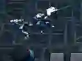 Gra Florescene w Internecie