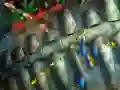 Gra Fishing King w Internecie
