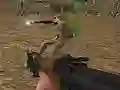 Gra NAM: Bare Feet Iron Will w Internecie