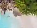 Gra Seychelles Beach Jigsaw Puzzle w Internecie