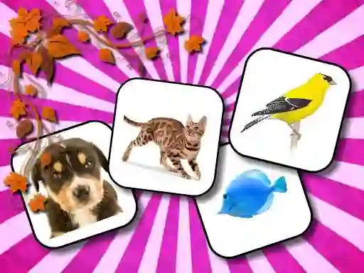 Gra Animals Memory w Internecie