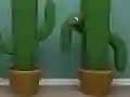Gra Cactus Cube w Internecie
