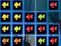 Gra 1010 Fish Blocks w Internecie