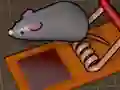 Gra Feed the Mouse w Internecie