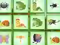 Gra Find The Insect w Internecie