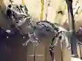 Gra A day in the Museum w Internecie