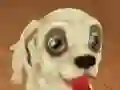 Gra Pet Run Adventure w Internecie