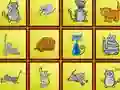 Gra Cats Findiff w Internecie