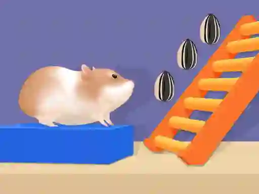 Gra Hamster Stack Maze w Internecie