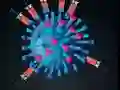 Gra Kill The Coronavirus w Internecie