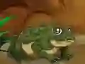 Gra Frogs Matching w Internecie