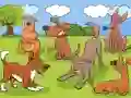 Gra Animals Differences w Internecie