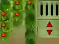 Gra New Year 2021 Escape w Internecie
