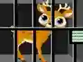 Gra Animals Rescue w Internecie