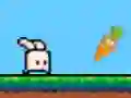 Gra Bouncing Bunny w Internecie