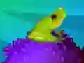 Gra Blue Bird Escape w Internecie