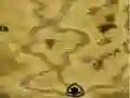 Gra Gemcraft Chapter Zero w Internecie