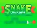 Gra Snake Challenge w Internecie