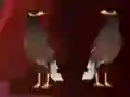 Gra Peikin Duck Escape w Internecie