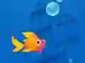 Gra Save the Fishes w Internecie