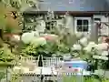 Gra Flower Garden w Internecie