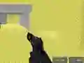 Gra Pixel Combat Multiplayer w Internecie