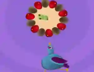 Gra Pigeon Game w Internecie
