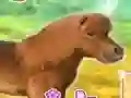 Gra My Dear Pony w Internecie