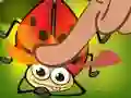 Gra Insect Cush w Internecie