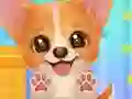 Gra Adopt Your Pet Puppy w Internecie